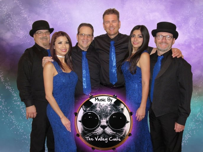 Gallery photo 3 of The Valley Cats Band