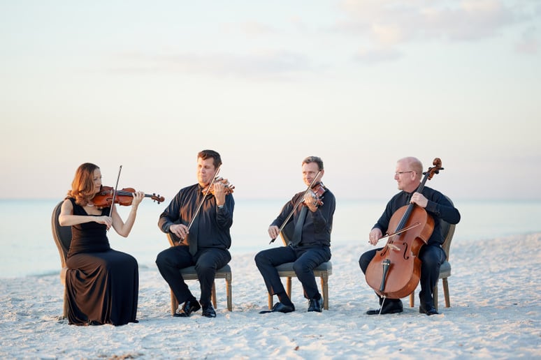 Gallery photo 4 of The Vanderbilt Strings