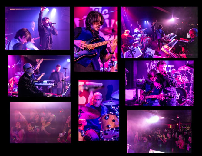 Gallery photo 1 of The Velvet Fog
