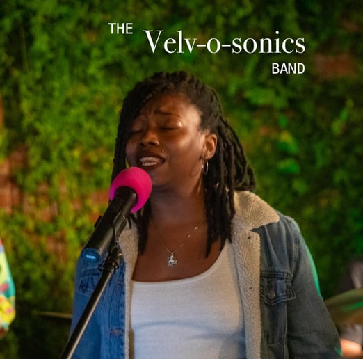 Gallery photo 4 of The Velvosonics
