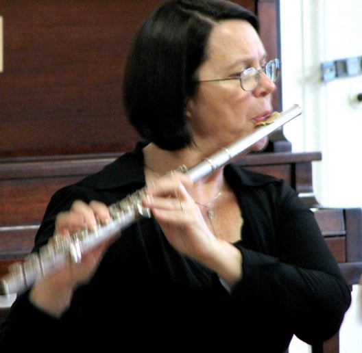 Gallery photo 2 of The Versatile Flute