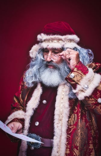 Gallery photo 3 of The Vintage Santa 315
