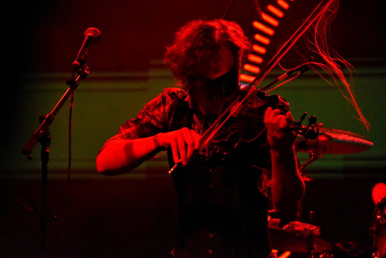 Gallery photo 1 of The Violin Shredder