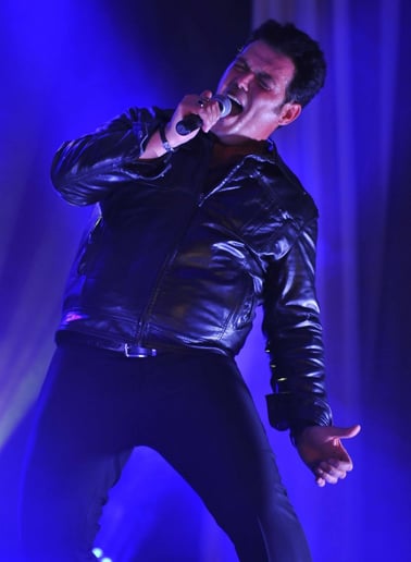 Gallery photo 8 of "The Voice of Franz"