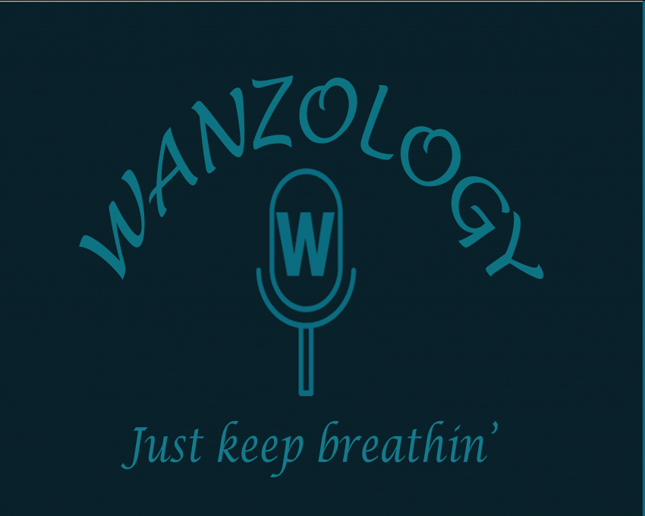 Gallery photo 1 of The Wanz