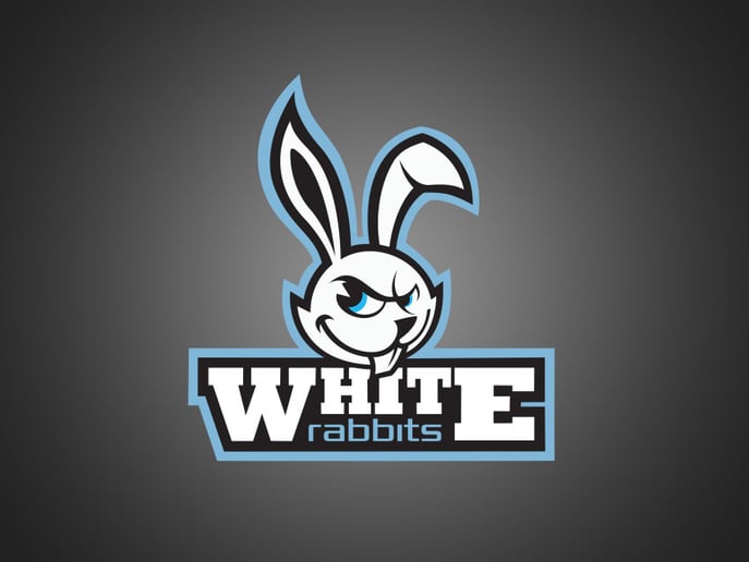 Gallery photo 2 of The White Rabbits