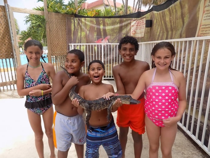 Gallery photo 3 of Mike & Spike Alligator and Reptile Adventure