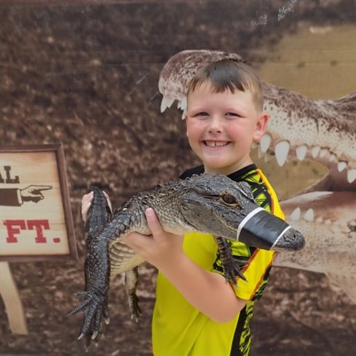 Gallery photo 2 of Mike & Spike Alligator and Reptile Adventure