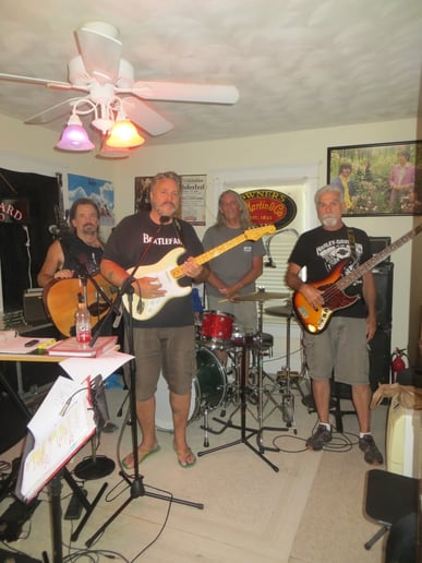 Gallery photo 1 of The Wildcard Band