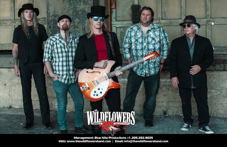 Gallery photo 1 of The Wildflowers - A Tribute to Tom Petty