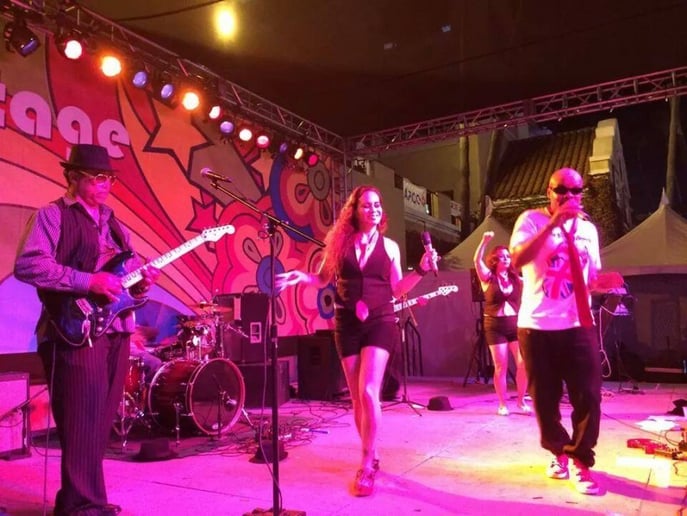 Gallery photo 8 of The Wildside Band SD