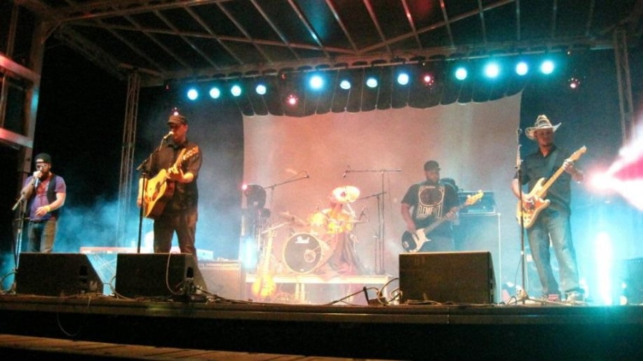 Gallery photo 2 of The Williams Brothers Band