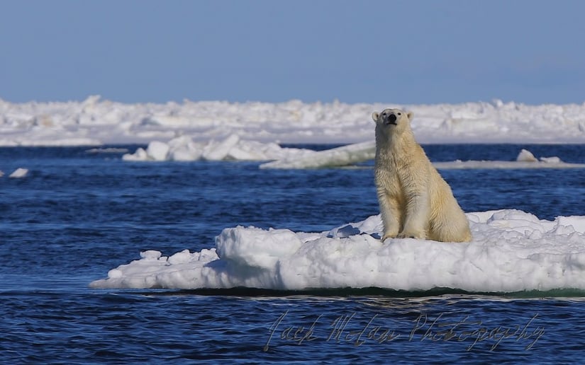 Gallery photo 4 of CaptainJack: Bringing You the Wild & Dangerous World of the Bering Sea