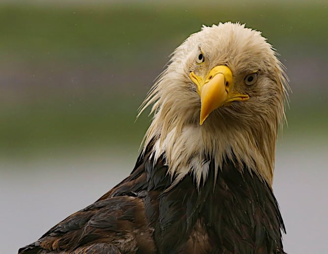 Gallery photo 6 of CaptainJack: Bringing You the Wild & Dangerous World of the Bering Sea
