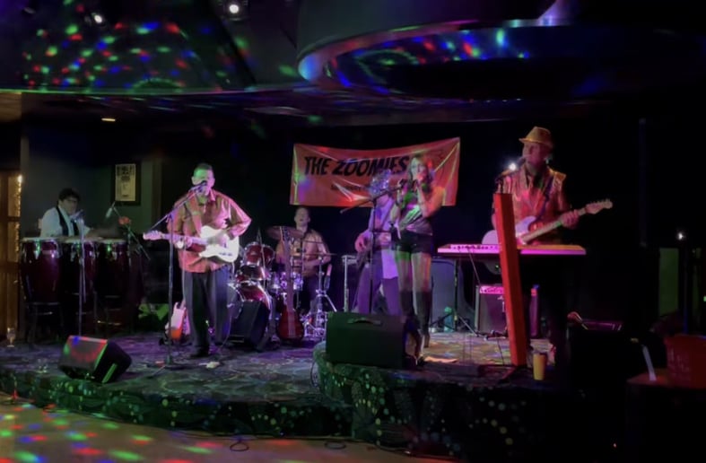 Gallery photo 25 of The Zoomies Band