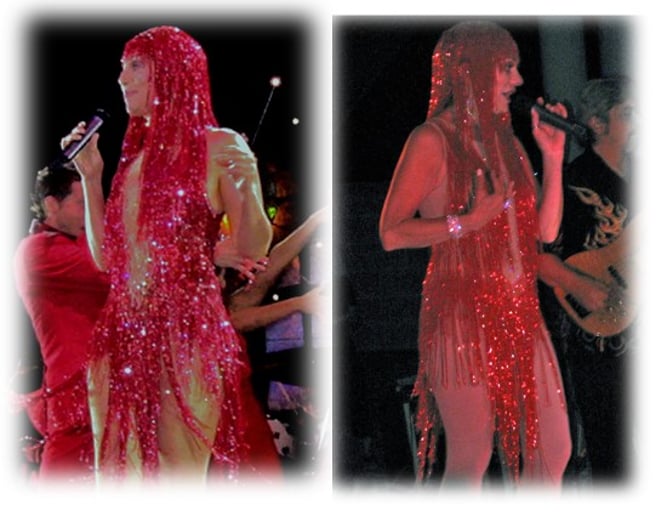 Gallery photo 36 of The (Almost) Cher Show