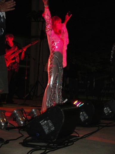 Gallery photo 38 of The (Almost) Cher Show