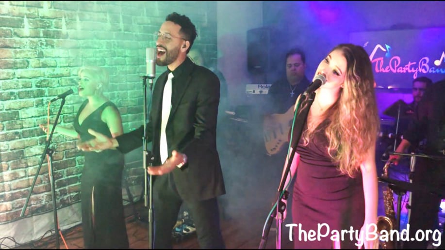 Gallery photo 8 of ThePartyBand