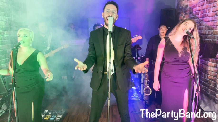 Gallery photo 9 of ThePartyBand