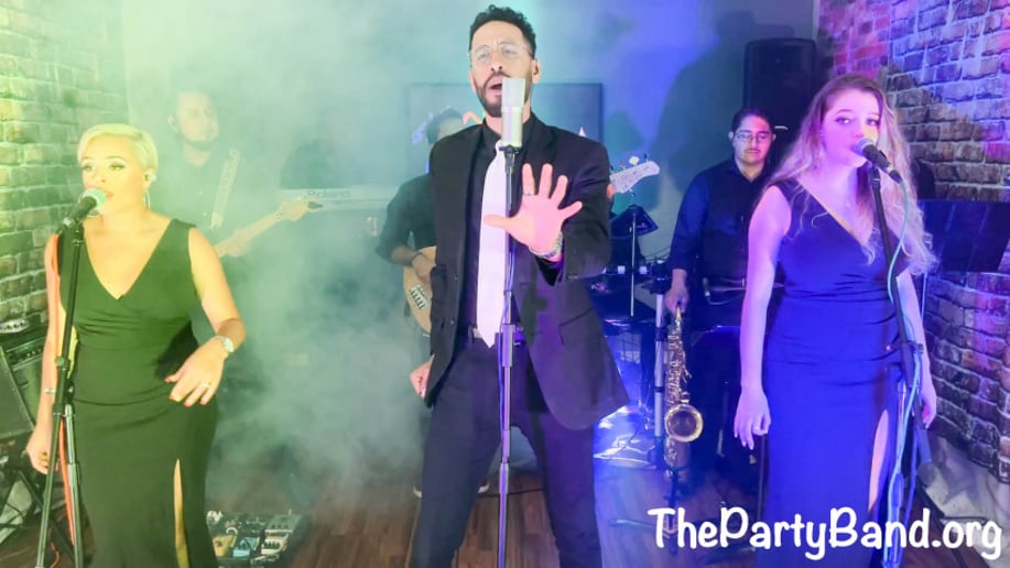 Gallery photo 10 of ThePartyBand