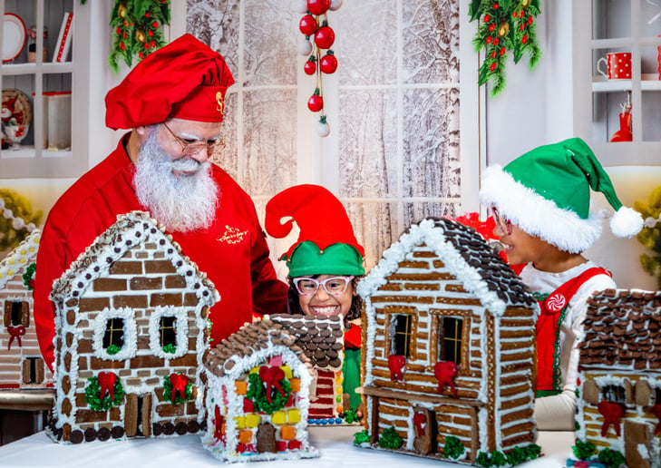 Gallery photo 7 of There is a Santa