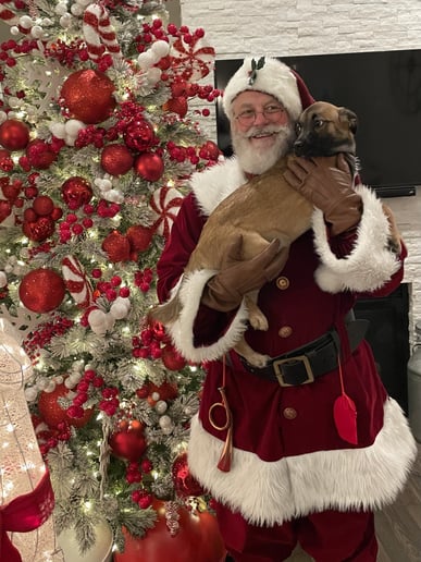 Gallery photo 7 of There's Santa!