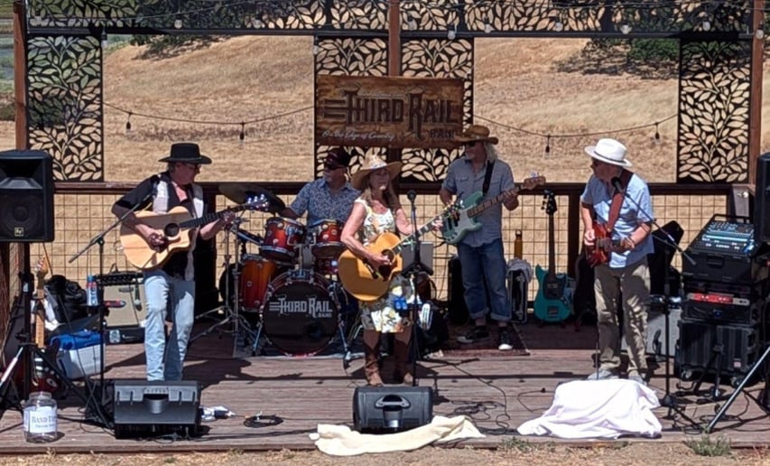 Gallery photo 4 of Third Rail Band