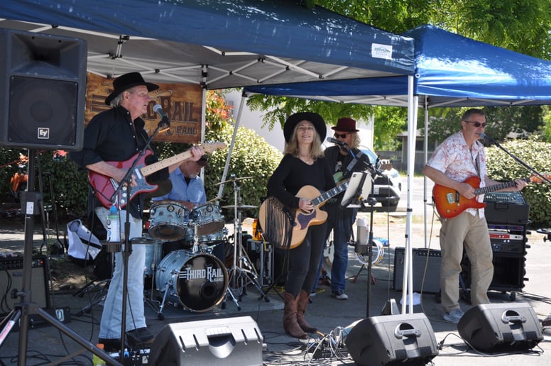 Gallery photo 5 of Third Rail Band