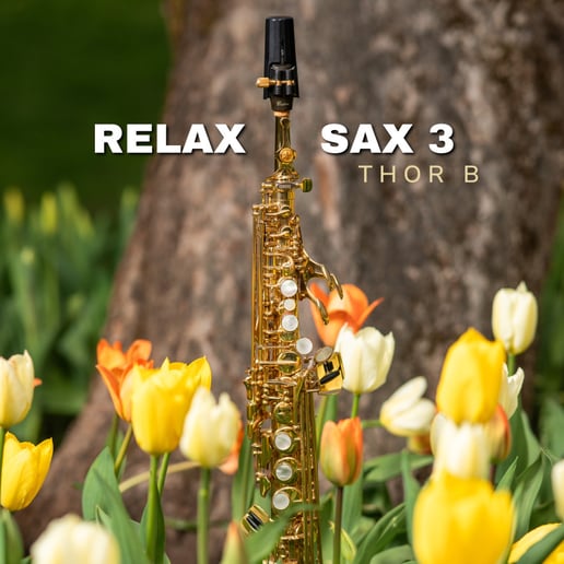 Gallery photo 8 of Thor B Sax One-Man Band