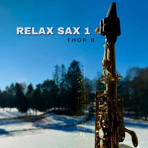Gallery photo 14 of Thor B Sax One-Man Band