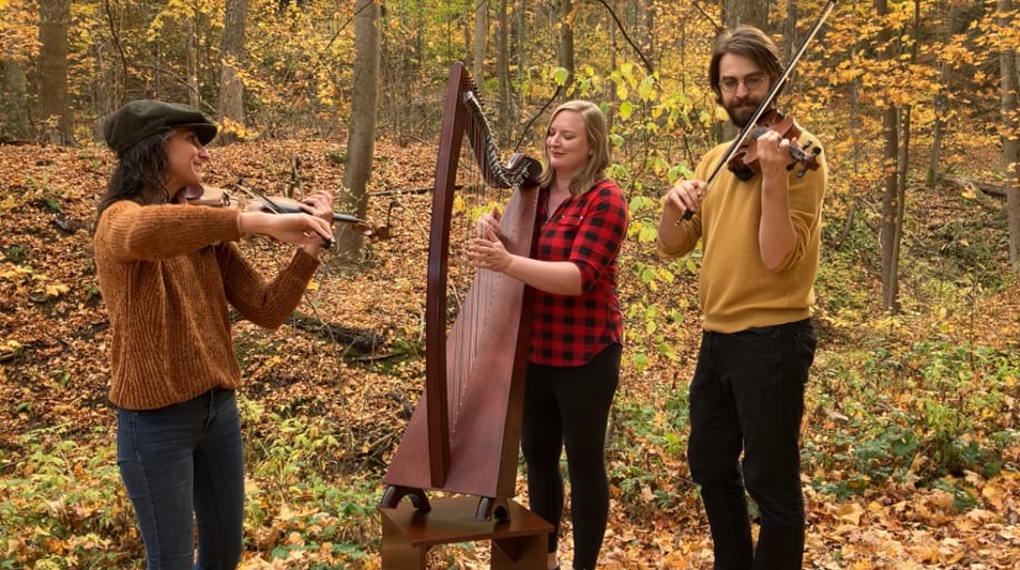 Gallery photo 2 of Tiffany Schaefer, Celtic Musician