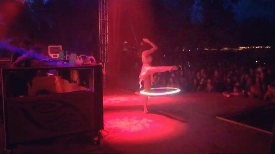 Gallery photo 7 of Ellectric Arts