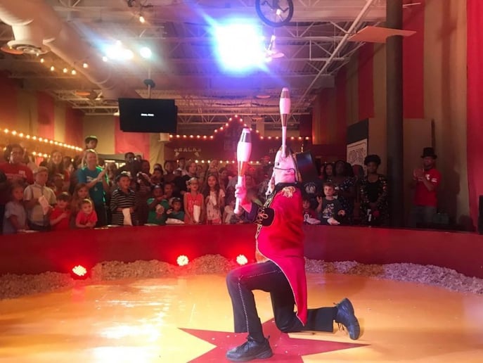Gallery photo 6 of Shows & Circus