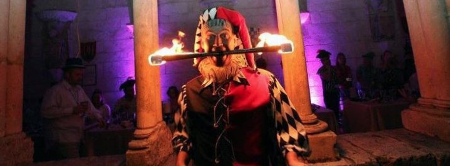 Gallery photo 16 of Shows & Circus