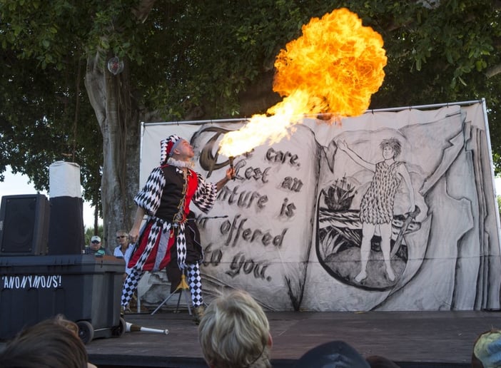 Gallery photo 8 of Shows & Circus
