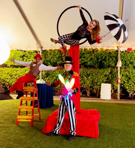 Gallery photo 39 of Shows & Circus