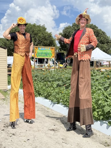 Gallery photo 58 of Shows & Circus