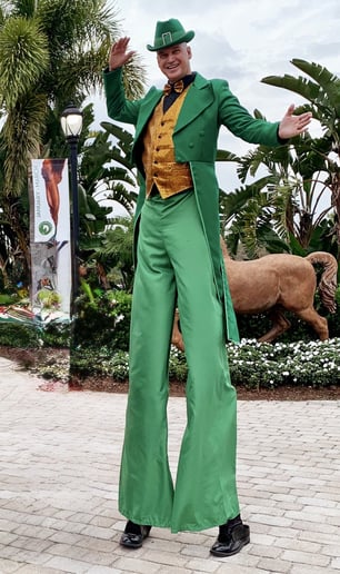 Gallery photo 67 of Shows & Circus