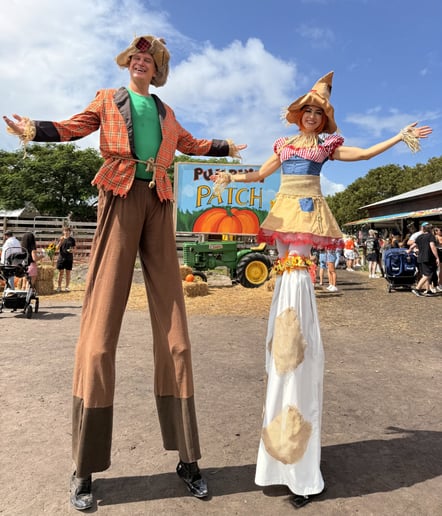 Gallery photo 68 of Shows & Circus