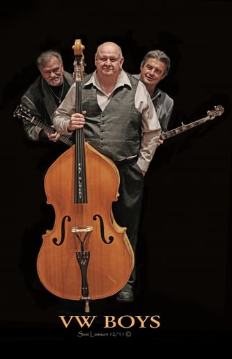 Gallery photo 1 of Tim White & the VW Boys