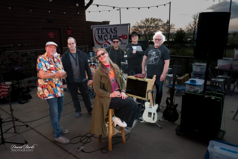 Gallery photo 1 of Texas Mojo Revival Band