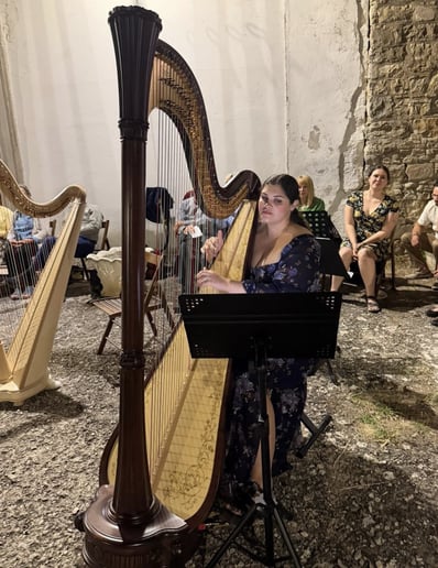 Gallery photo 1 of Timeless Harpist