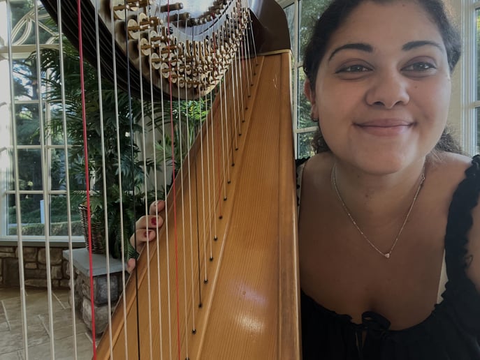 Gallery photo 3 of Timeless Harpist