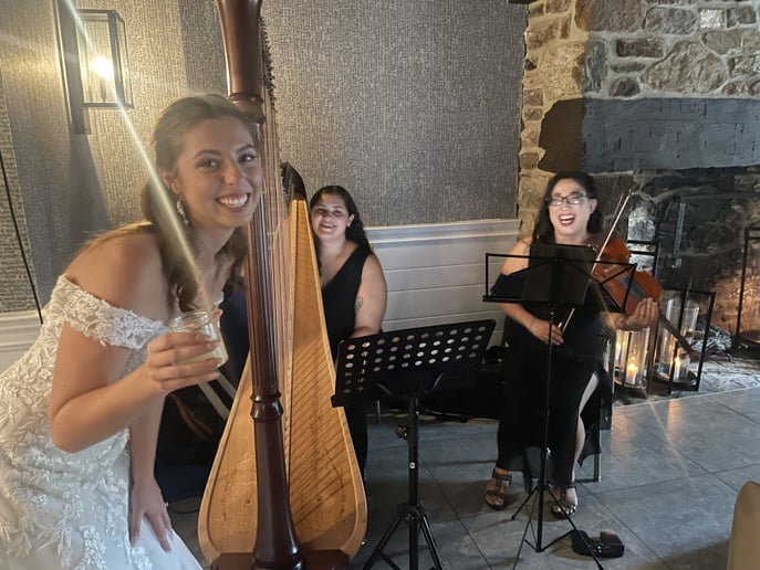 Gallery photo 4 of Timeless Harpist