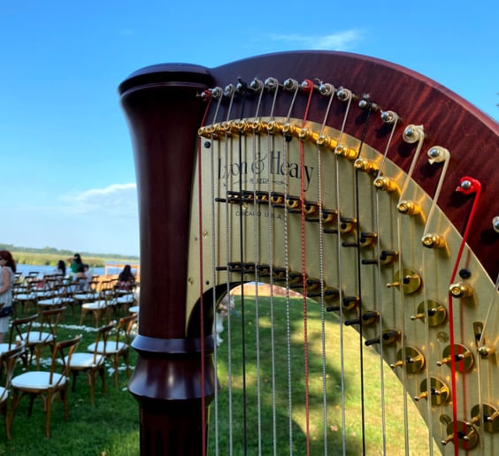Gallery photo 5 of Timeless Harpist