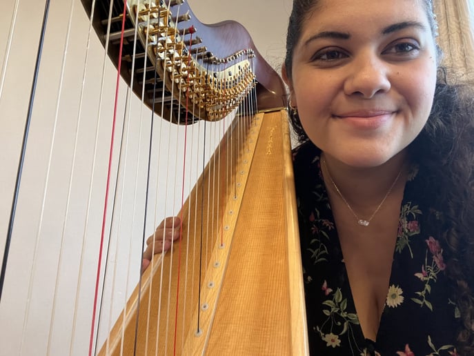 Gallery photo 6 of Timeless Harpist
