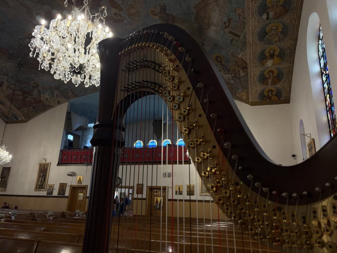 Gallery photo 7 of Timeless Harpist