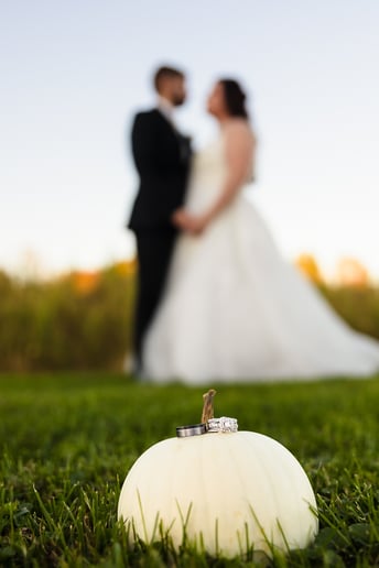 Gallery photo 1 of Timeless Wedding Photography Collections