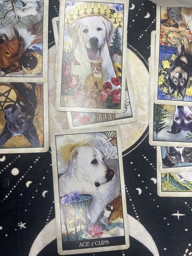 Gallery photo 3 of Timely Tarot (SacredServicesBySandraLLC)