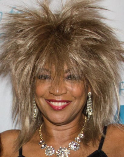 Gallery photo 10 of Diana Ross & Tina Turner Impersonator